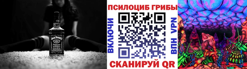 закладка  Долинск  Галлюциногенные грибы GOLDEN TEACHER 